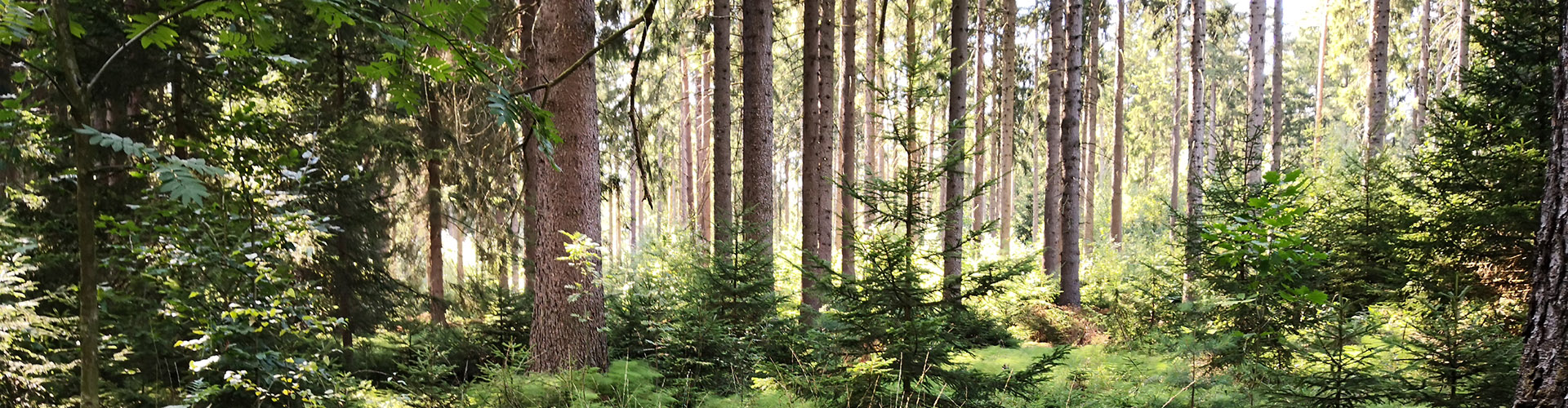 Und was hat das mit Leipzig zu tun?