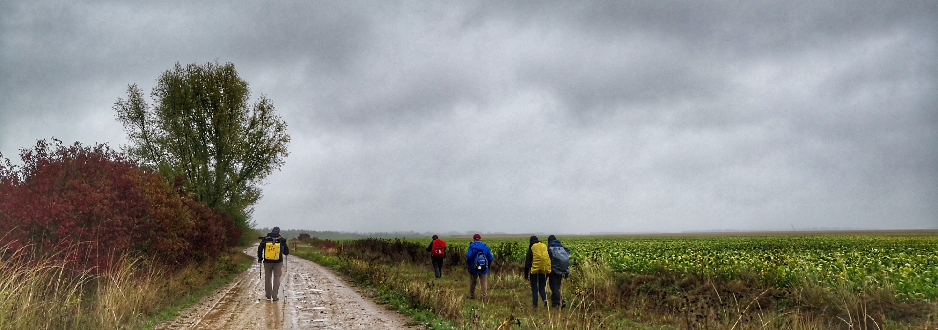 Foto-Seminar in Fortbewegung
