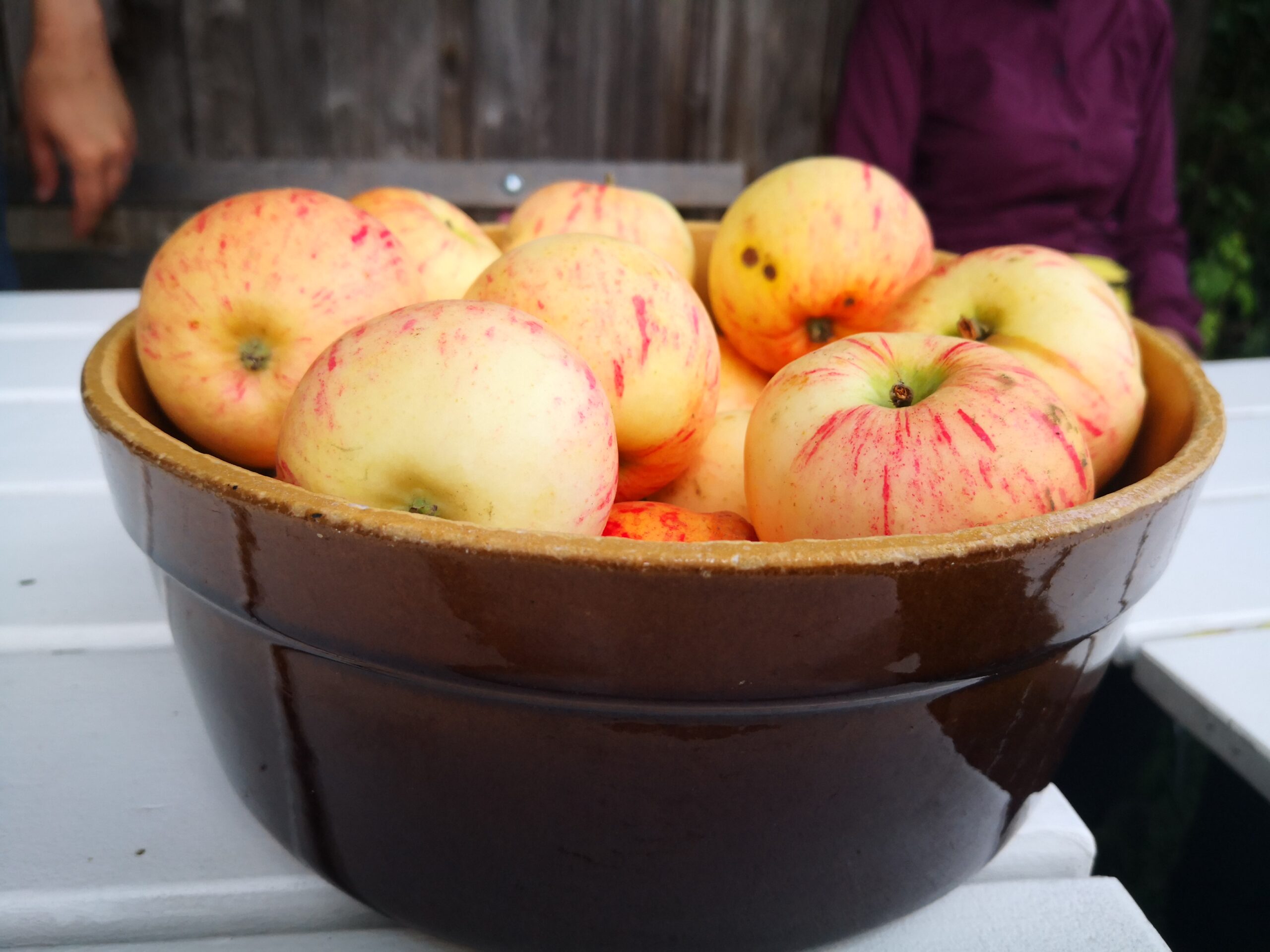 Apfel bringt Erkenntnis